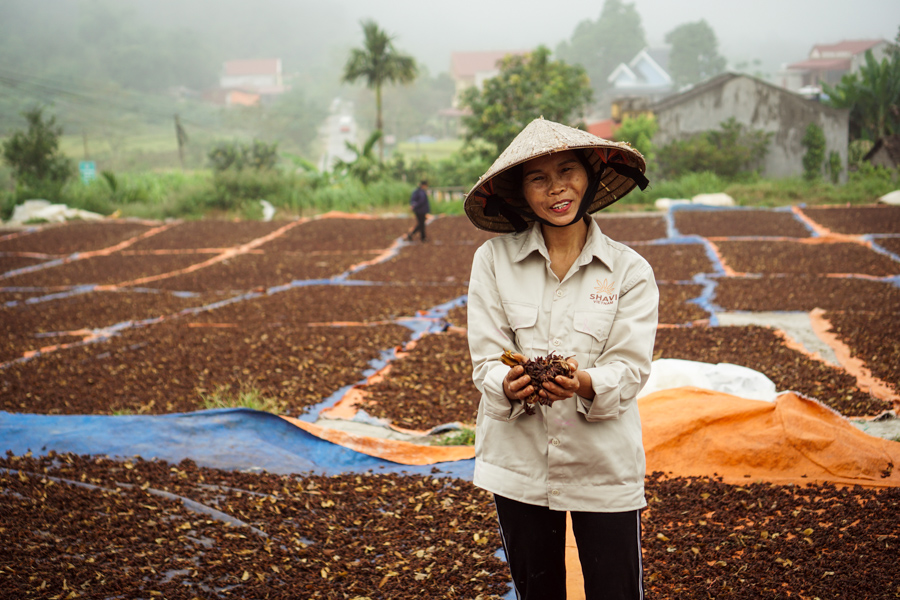 Shavi-VietNam-brings customers-the-best-experience