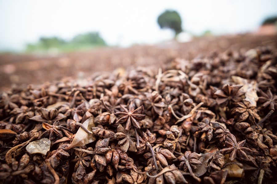 Unlocking-the-Secrets-for-Wholesale-Star-Anise-Ground-Powder