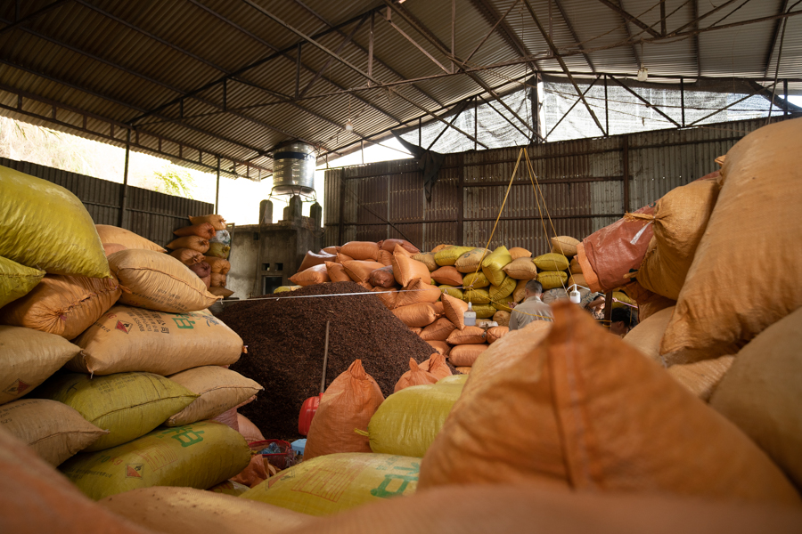 Organic-Star-Anise-Storing-Tips-Shavi-Vietnam