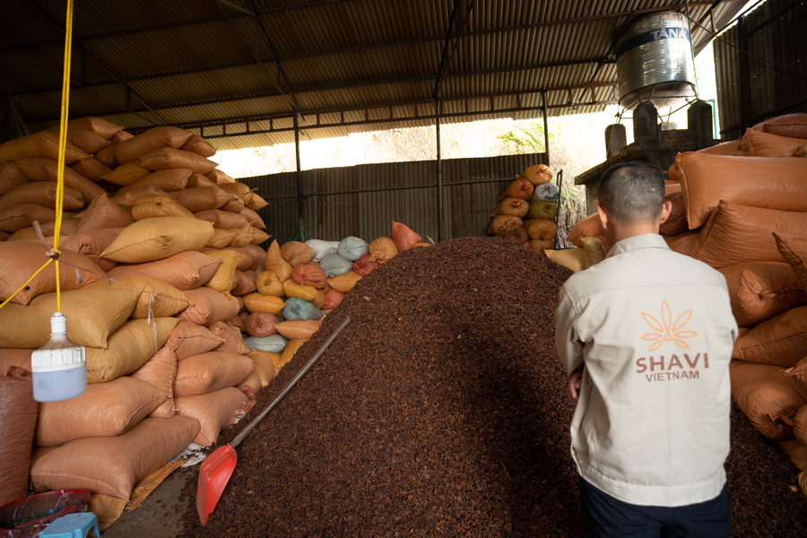 Organic-Star-Anise-from-Vietnam