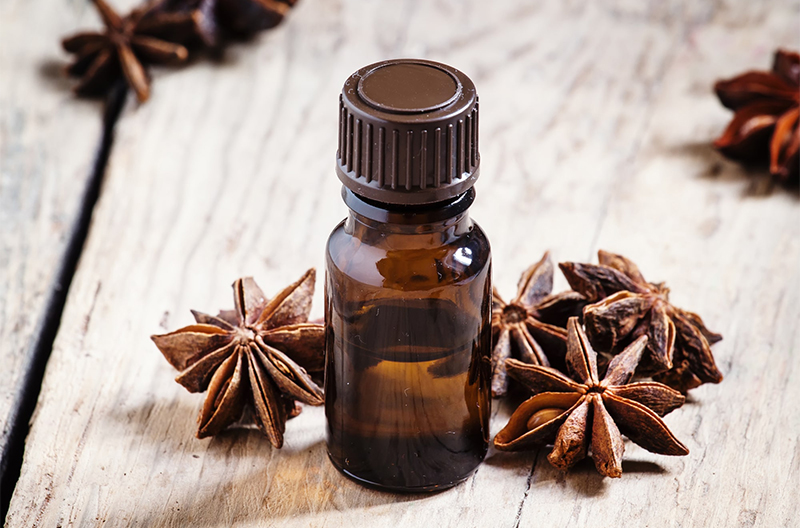 star-anise-oil-wholesale-manufacturing-in-vietnam-Shavi-Vietnam