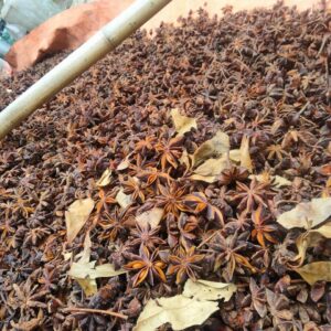 Star-Anise-Supplier-Vietnam