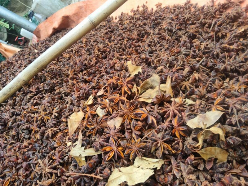 Star-Anise-Supplier-Vietnam