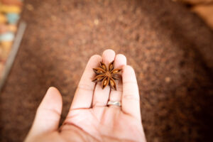 Wholesale-star-anise-in-Vietnam