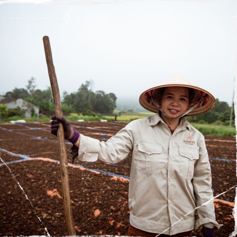 cinnamon-sticks-in-bulk-Shavi-Vietnam