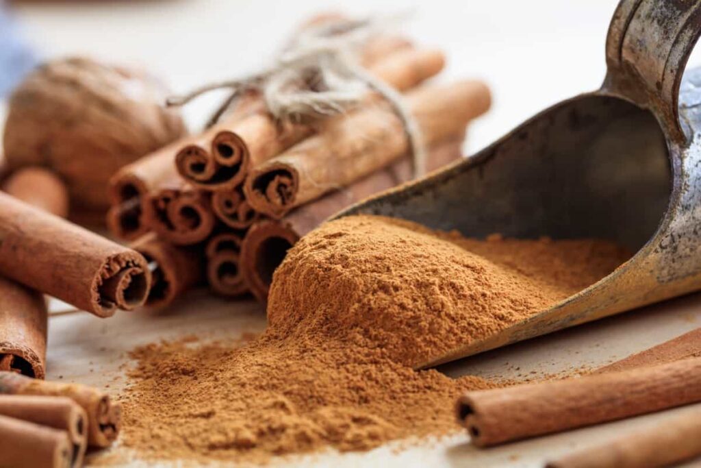 Cinnamon-Supplier-Shavi-Vietnam