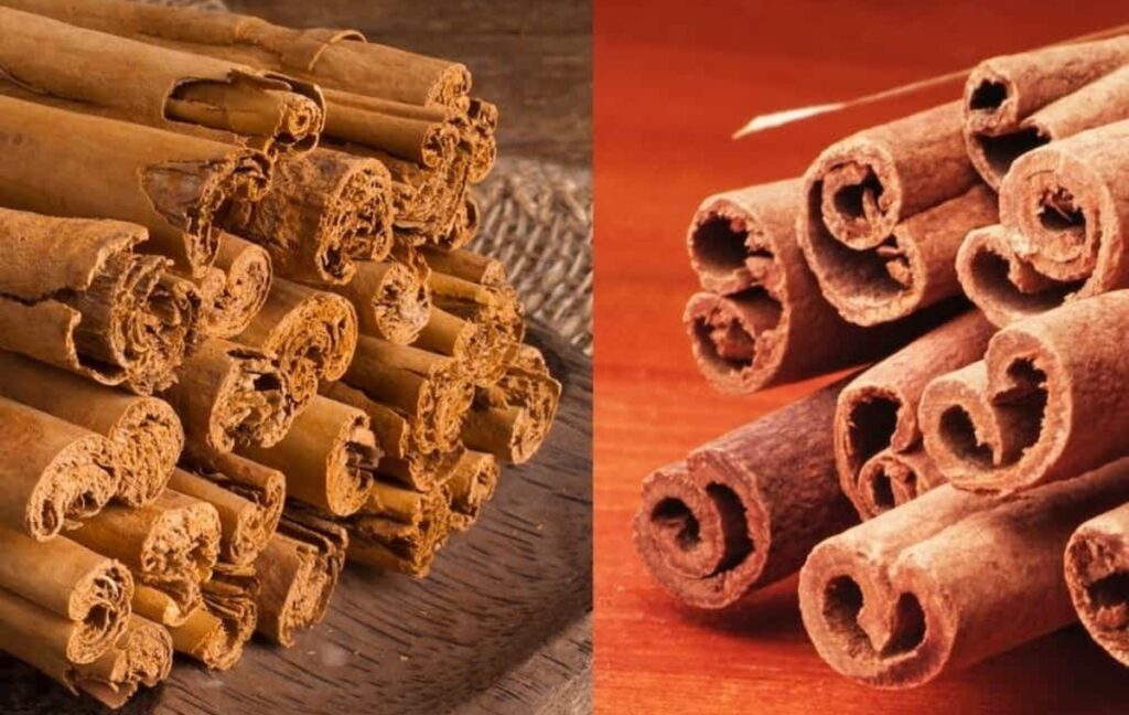 cinnamon-and-ceylon-cinnamon-Shavi-Vietnam-1