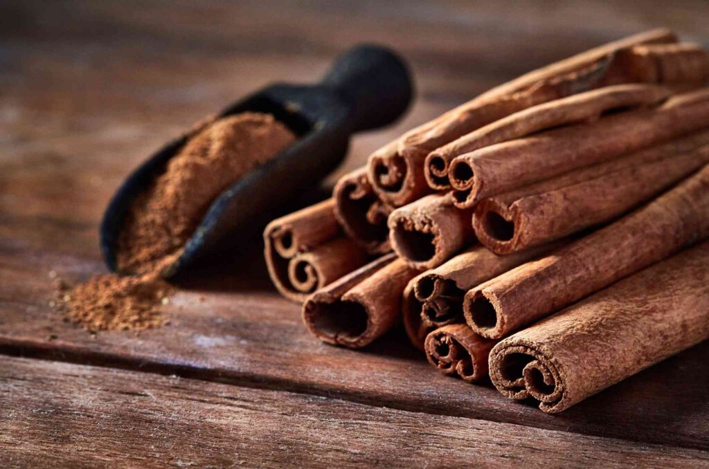 cinnamon-sticks-in-bulk-Shavi-Vietnam-1