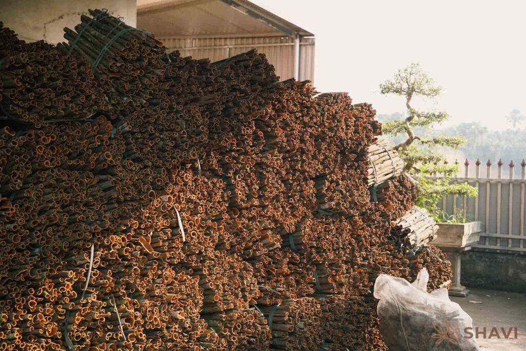 cinnamon-in-bulk-Shavi-Vietnam-1