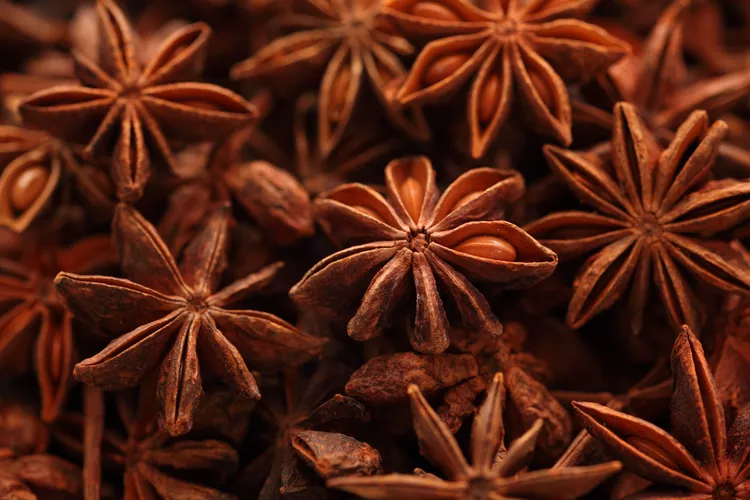 star-anise-wholesale-Shavi-Vietnam